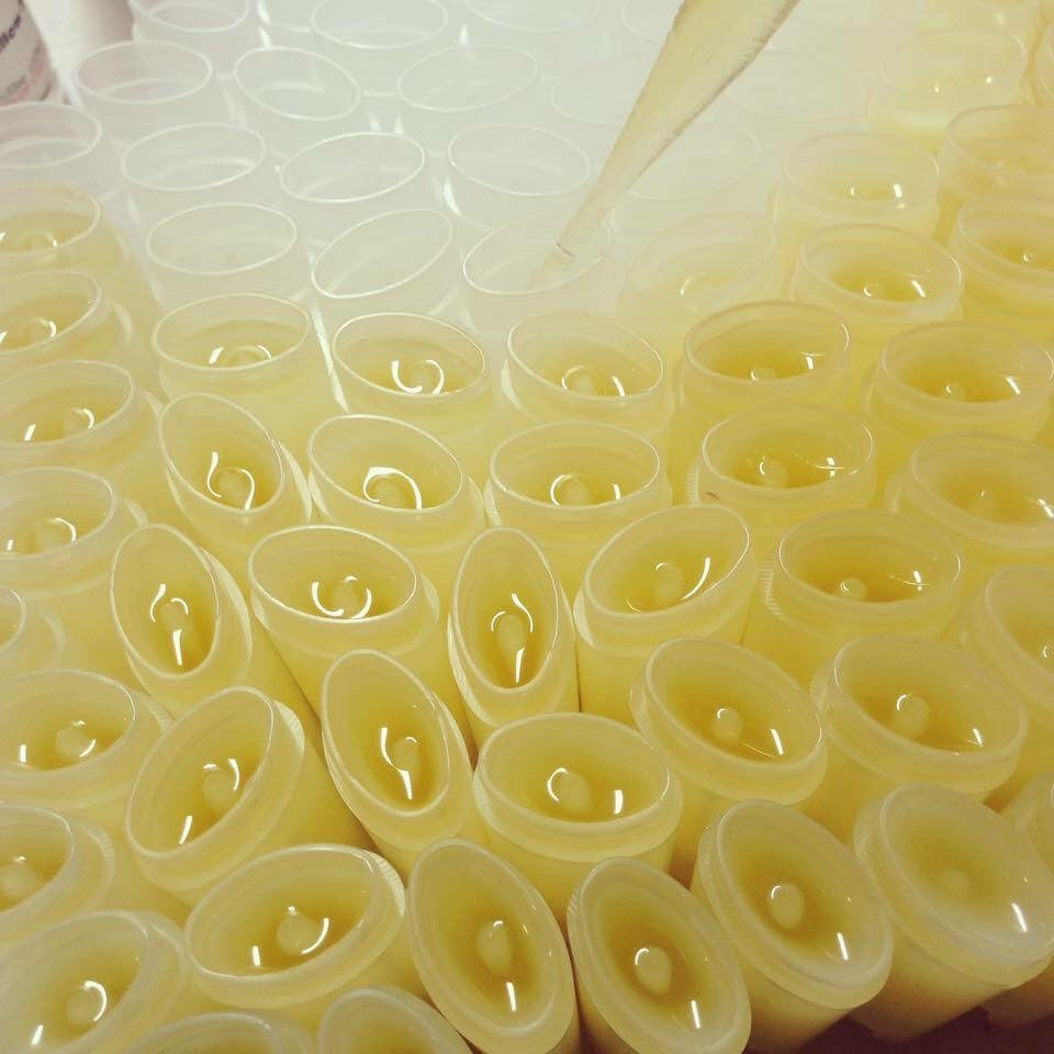 Manuka Honey & Mint Lip Balm