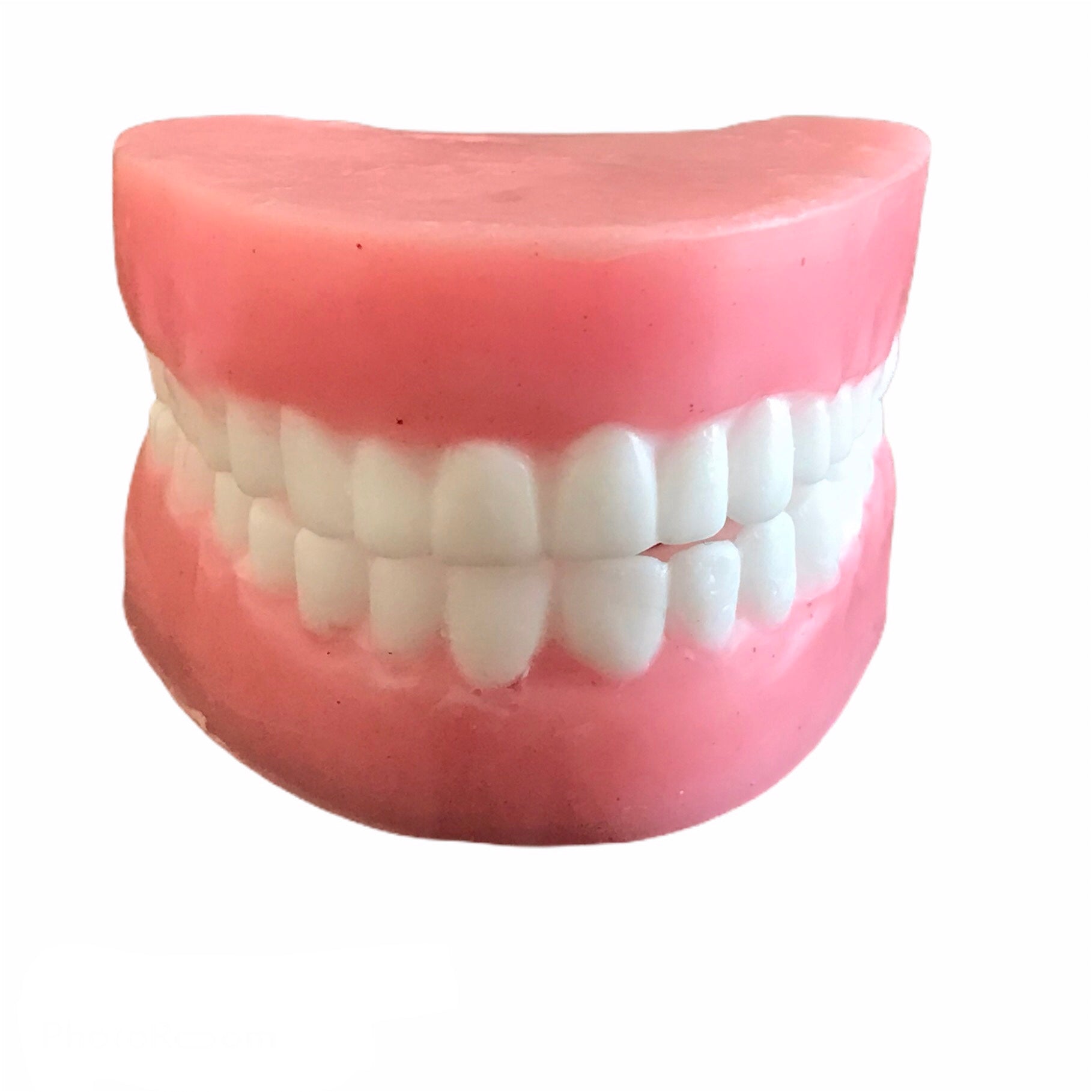 Denture Shaped Soap