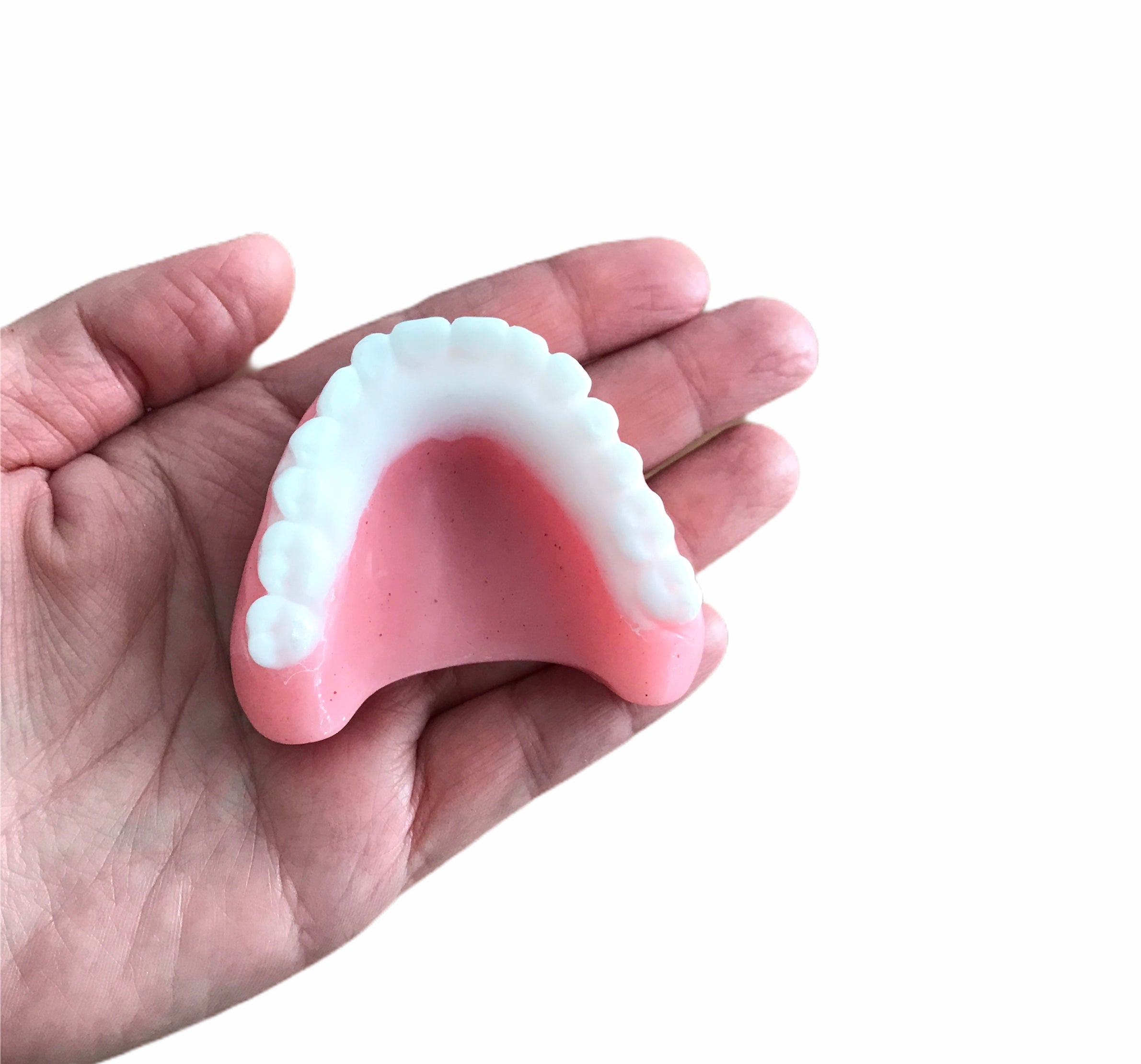 Denture Shaped Soap