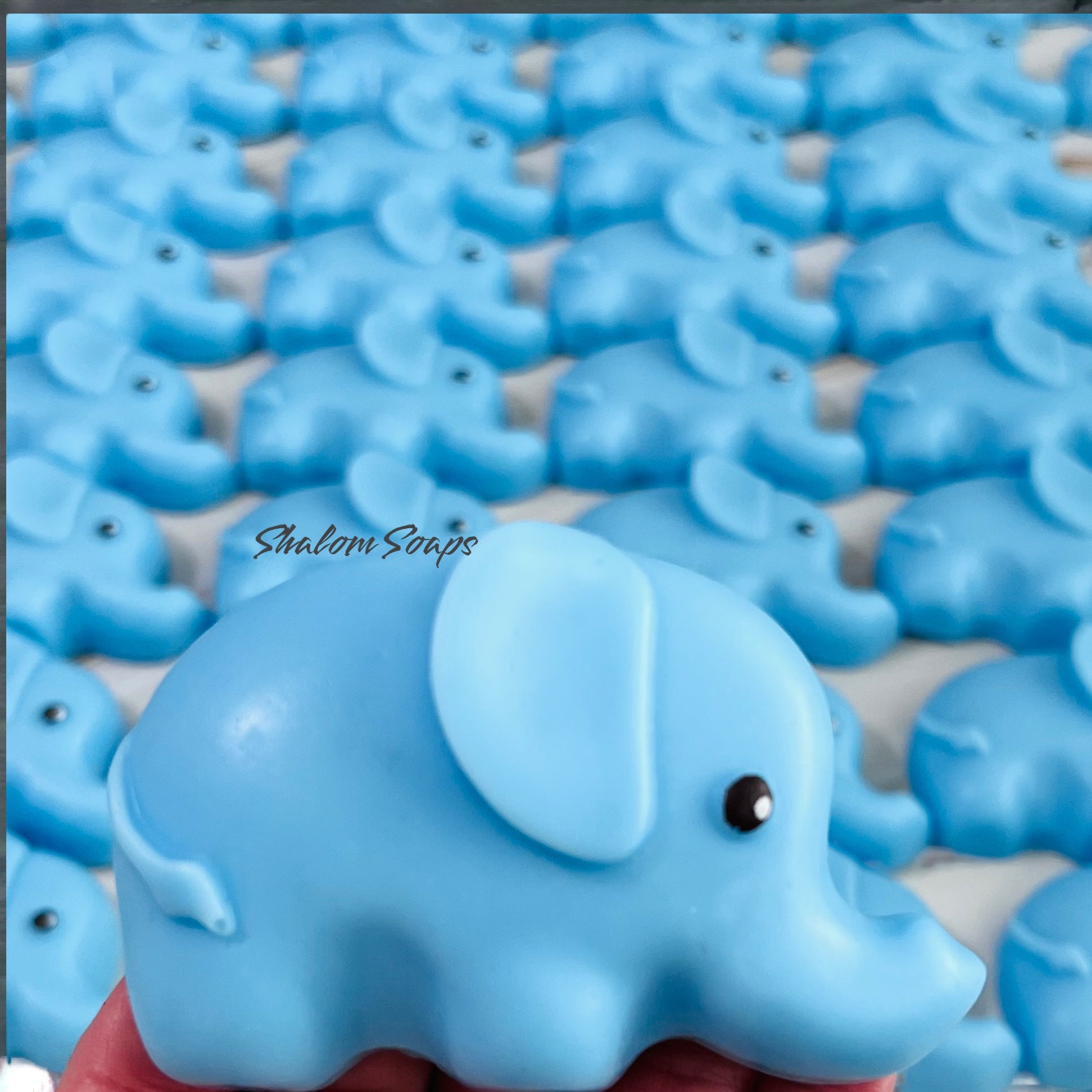 Elephant Soap